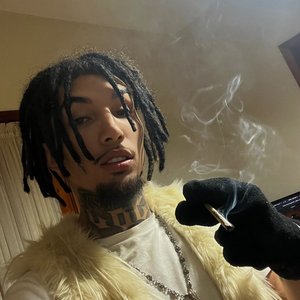 Nogs666 的头像