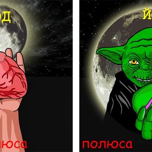 “Полюса”的封面