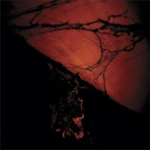 Asphalt cover