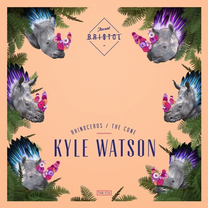 Kyle Watson - Rhinoceros / The Cone - Zortam Music