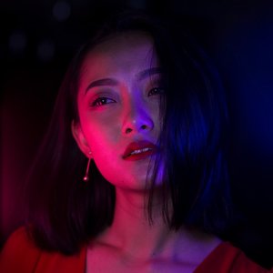 Ying -莺 的头像