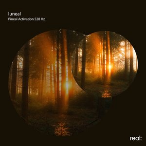Pineal Activation 528 Hz