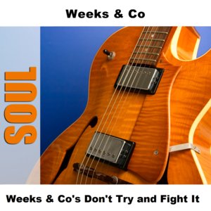 Weeks & Co's Don't Try and Fight It