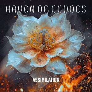 Assimilation