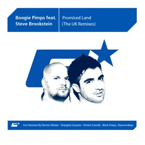 Boogie Pimps Feat. Steve Brookstein 的头像