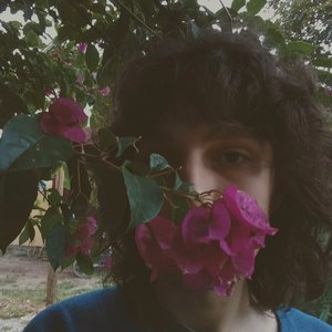 Avatar di Kim Kircher