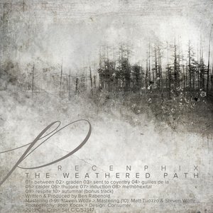 The Weathered Path