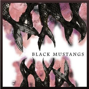black mustangs
