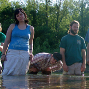 Cornmeal photo provided by Last.fm