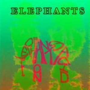 Аватар для Elephants on Acid