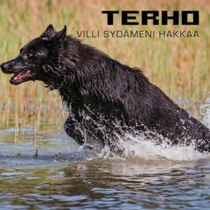 Villi sydämeni hakkaa