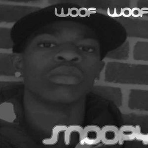Avatar di Snoopy