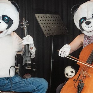 Avatar for The Lost Stoned Pandas