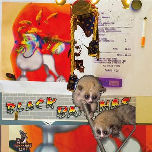 Spydr Brain