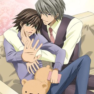 “Junjou Romantica”的封面