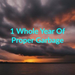 1 Whole Year Of Proper Garbage