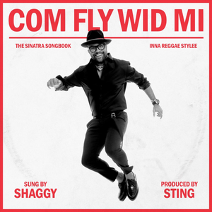 Shaggy - Com Fly Wid Mi - Zortam Music