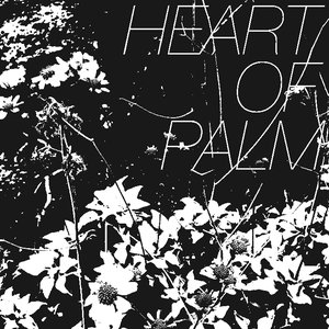 Heart Of Palm