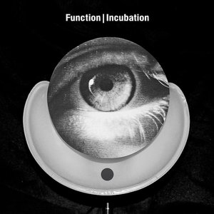 Image for 'Incubation'