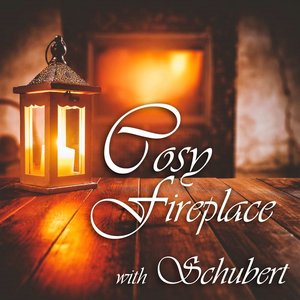 Cosy Fireplace with Liszt