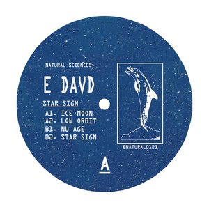E Davd 的头像
