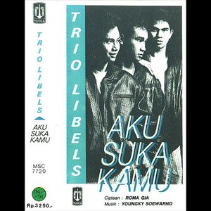 Aku Suka Kamu