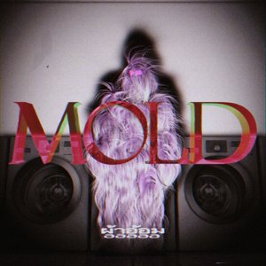 mold