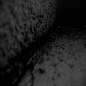 Dead End / Final Chapter