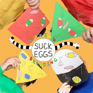 Image for 'Suck Eggs'