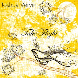 “Joshua Vervin-Take Flight”的封面