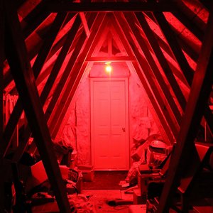 Strange Lore - Single