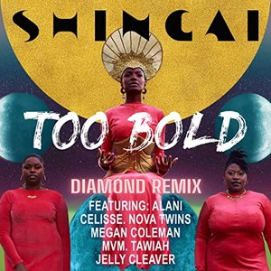 Too Bold (Diamond Remix)