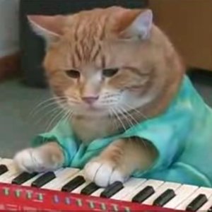 Кот Игорян 的头像