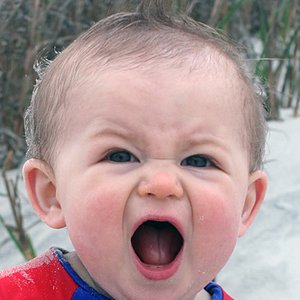 Аватар для Harlequin Babies