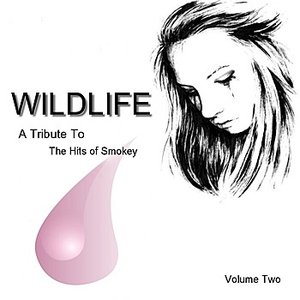 Tribute To The Hits of Smokie, Vol. 2