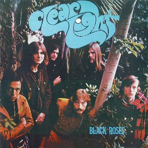 Black Roses