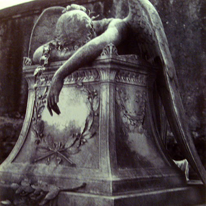 Joy Division - Winter Gardens [disc 2] - Zortam Music