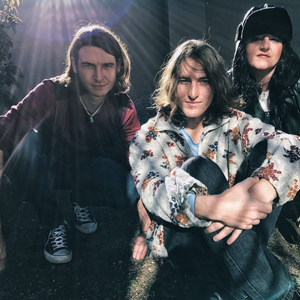 The Pollinator photo provided by Last.fm