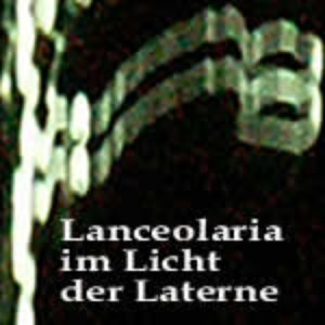 Lanceolaria im Licht der Laterne 的头像
