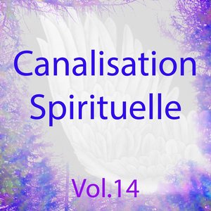 Canalisation spirituelle, vol. 14 (Énergie de guérison)