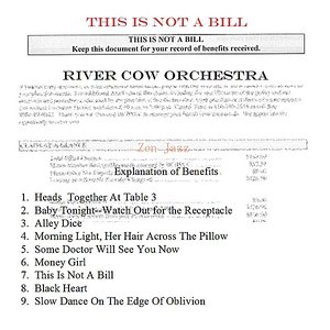 This Is Not a Bill