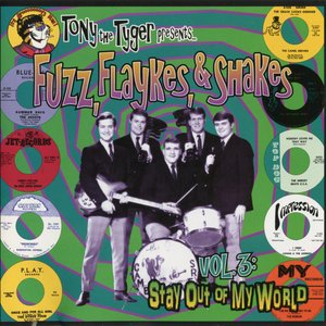 Fuzz, Flaykes & Shakes, Vol. 3
