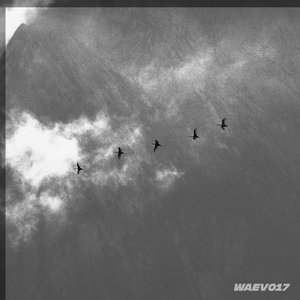 WAEV017