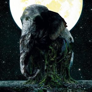 ASCENSION cover