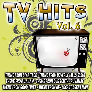 TV Hits Vol. 6