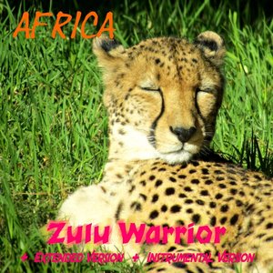 Zulu Warrior