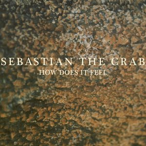 Avatar for Sebastian the Crab