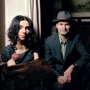 Avatar for PJ Harvey;John Parish