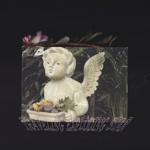 Traveling Exploding Star - EP