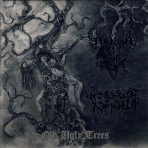 Old Ugly Trees